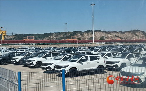 做強蘭州樞紐品牌，構建高質量發展快速引擎——房屋租賃助力城市新升級
