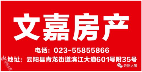 城心美居，生活與財富的雙向選擇